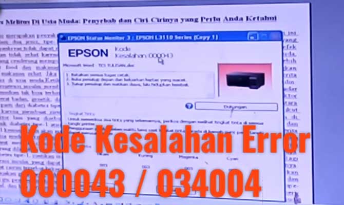 Printer Epson L3110 Error 00043