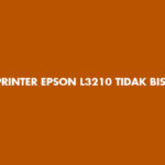Printer Epson L3210 Tidak Bisa Print