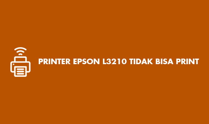 Printer Epson L3210 Tidak Bisa Print