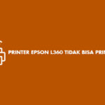 Printer Epson L360 Tidak Bisa Print